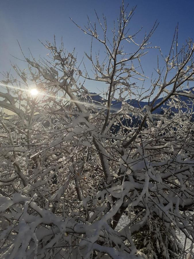 Huterhof Apt Wiesengrund 2 Riobianco Dış mekan fotoğraf